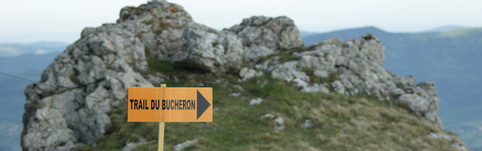Trail du bucheron 2012