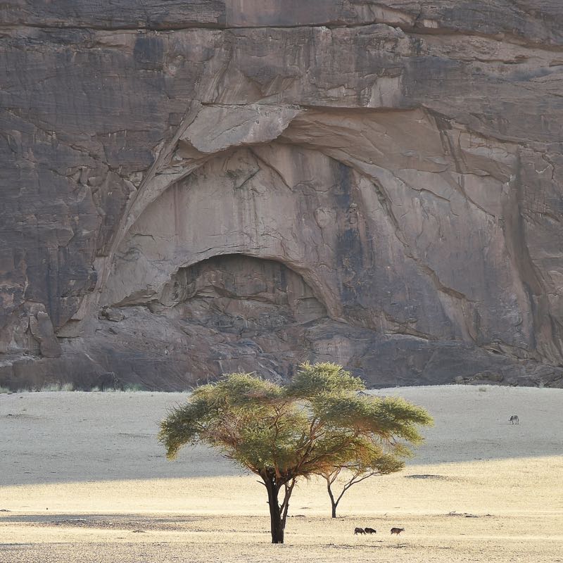 Le Treg 2015 - au oeur du désert de l'Ennedi au Tchad