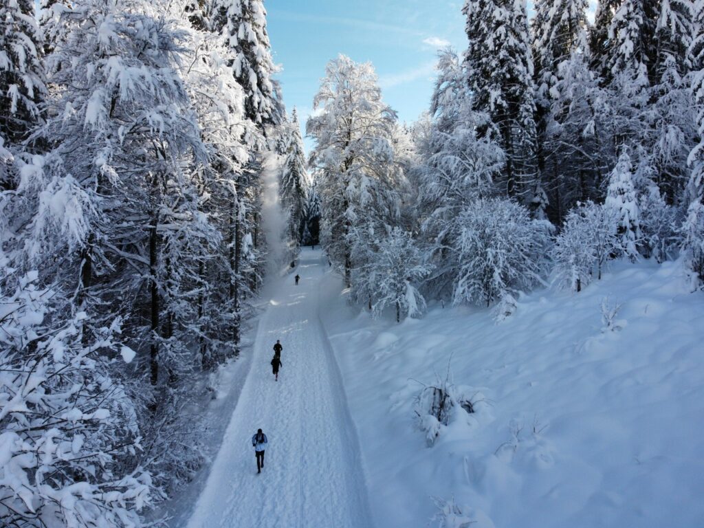 Spartan Winter Trail