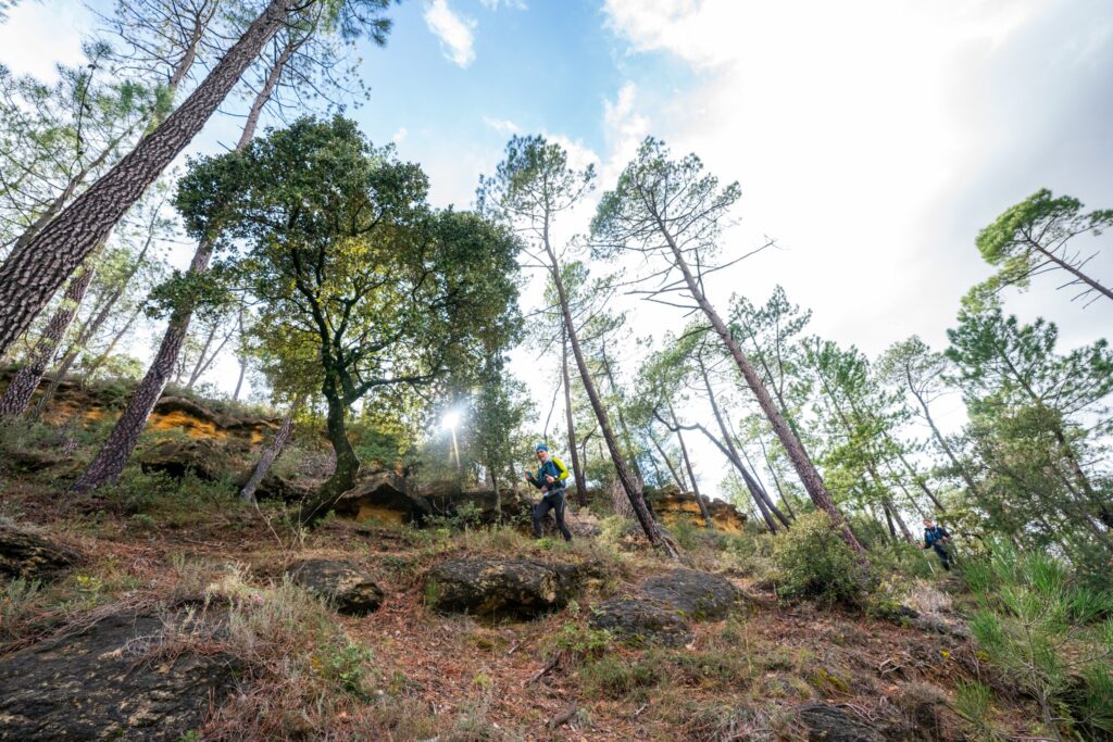 Trail du Ventoux