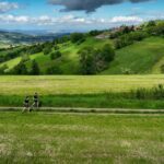 Trail des Coursières