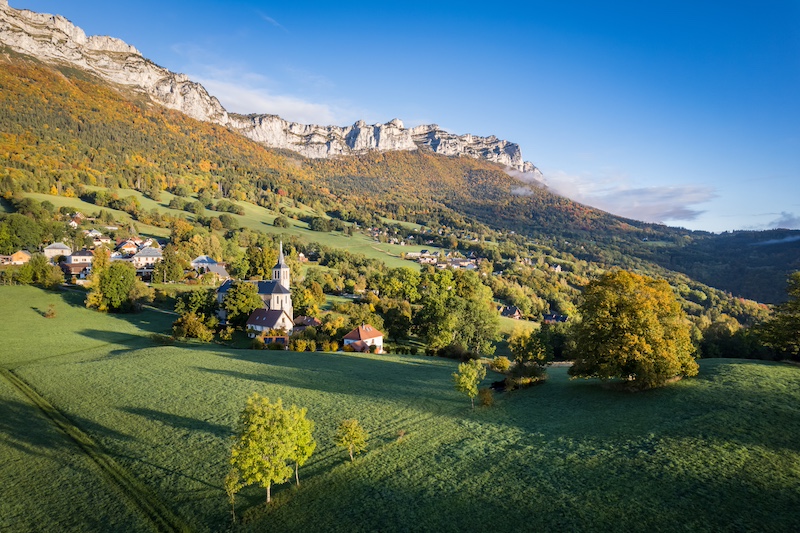 Chartreuse
