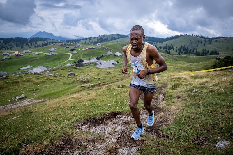 Coupe du monde de course en montagne