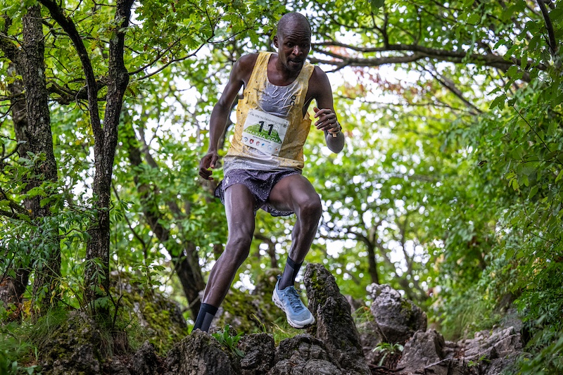 Coupe du monde de course en montagne
